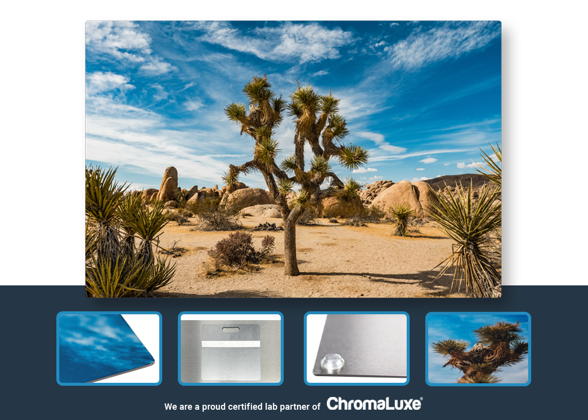 18x12 Metal Print featuring a beautiful image from Joshua Tree.