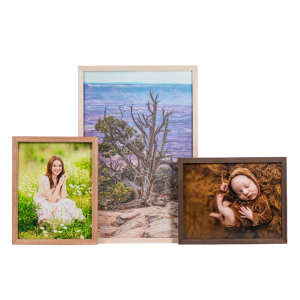 Senior girl image in a mahogany Pivot print, landscape image in a maple Pivot Print, and a newborn image in a Burnt Ash Pivot Print. Click to enlarge.