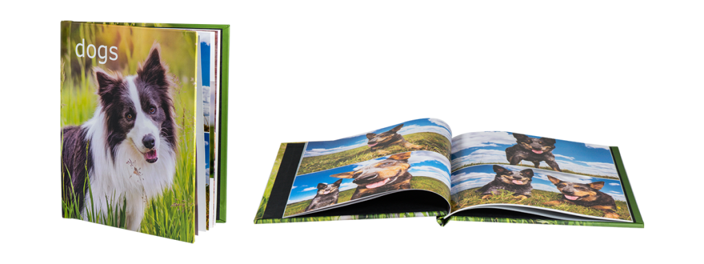 Hard Cover Press Book cover featuring a long haired dog that says "dogs" and on the right is a view of the book laying open to show that the pages do not layflat. It is a traditional style coffee table book.
